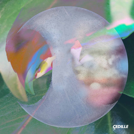 黄色大奶妈操逼视频
