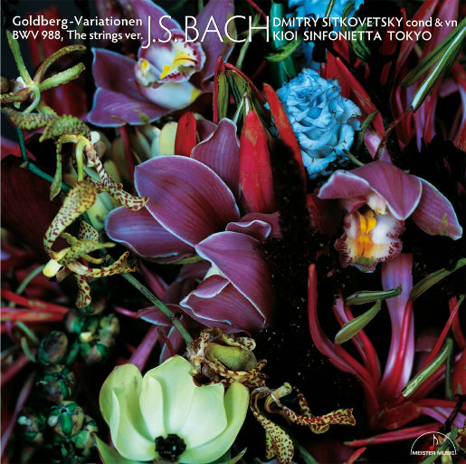 黄色大奶妈操逼视频
